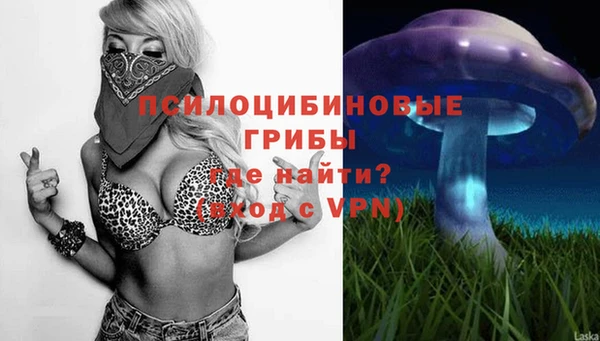винт Алексин