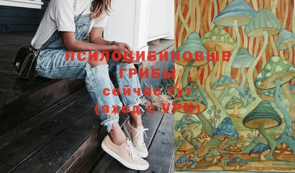 винт Алексин